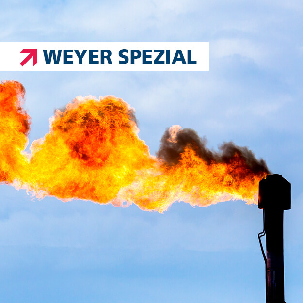Deckblatt weyer spezial Simulation von Fackelsystemen