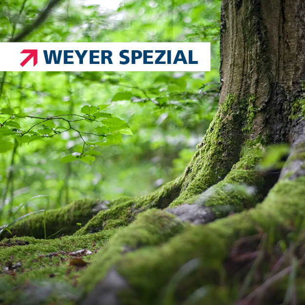 weyer spezial zum Thema Umweltverträglichkeitsprüfung.