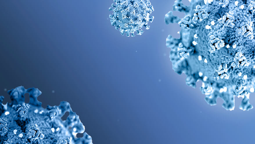Abbildung des Coronavirus