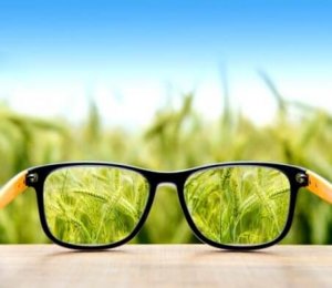 Wettbewerbs- und Vergabeverfahren Regionalverband Frankfurt Brille